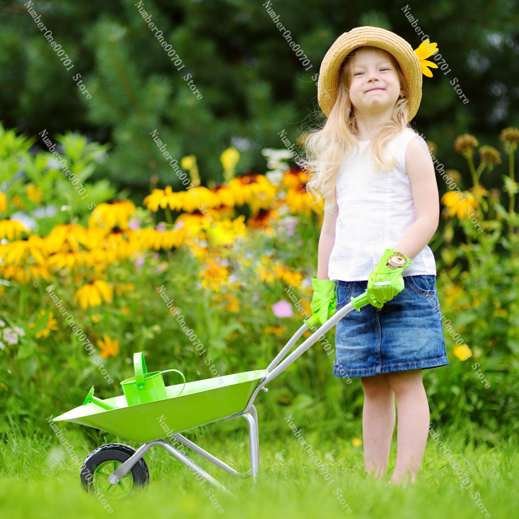Kids Outdoor Wheelbarrow, Gree - đánh giá và giá Kids Outdoor Toys