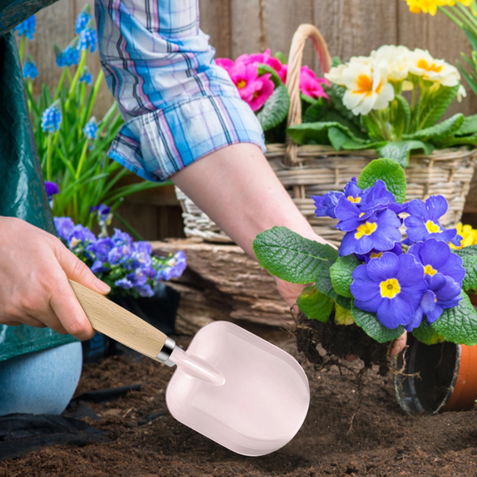 Kids Outdoor Toys Sensory Inte - đánh giá và giá Kids Outdoor Dirt Toys